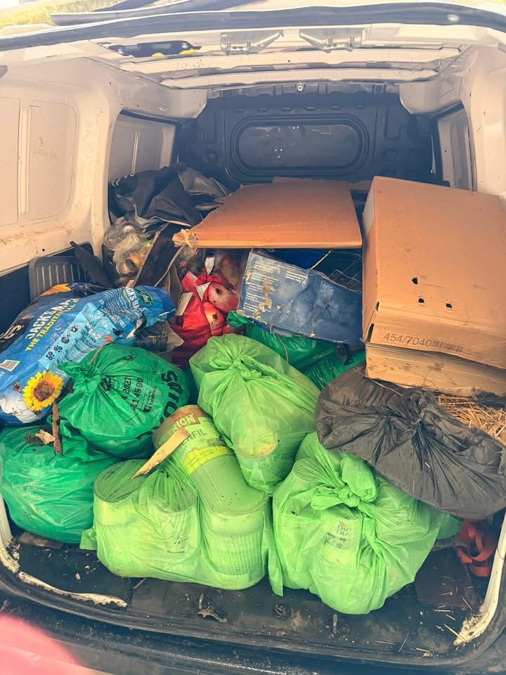 Domestic Removals in Ceredigion